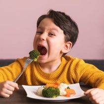 برنامه غذایی چاق شدن سریع کودکان