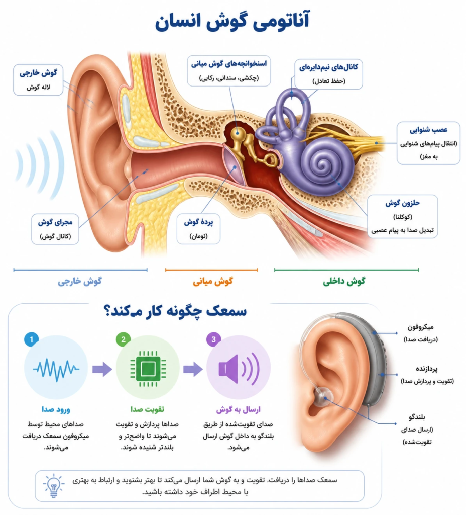 انواع کمشنوایی از دیدگاه پزشکی